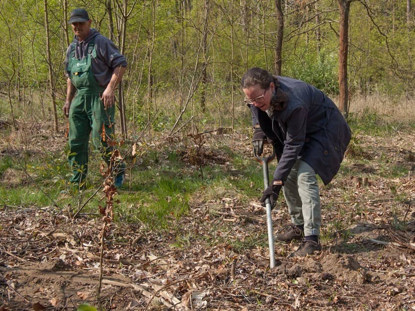 Filta plants 100 copper beech trees in the Spreewald biosphere reserve as a PLANT-MY-TREE® climate protection partner